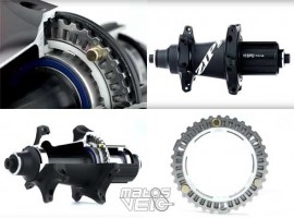 Zipp-Cognition.jpg